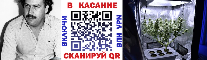 Наркошоп купить NBOMe  Конопля  Кокаин  Меф мяу мяу  ГАШ  Чайковский