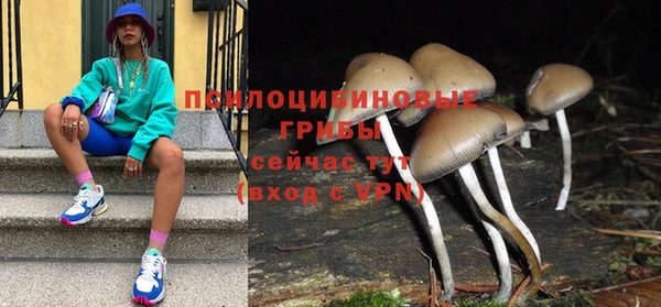 мяу мяу мука Ельня