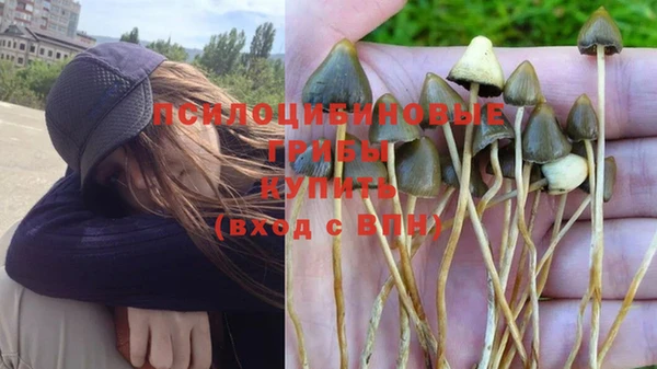 мяу мяу мука Ельня