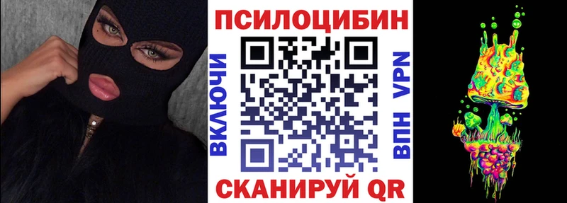 Купить закладки  Чайковский  Галлюциногенные грибы мицелий 